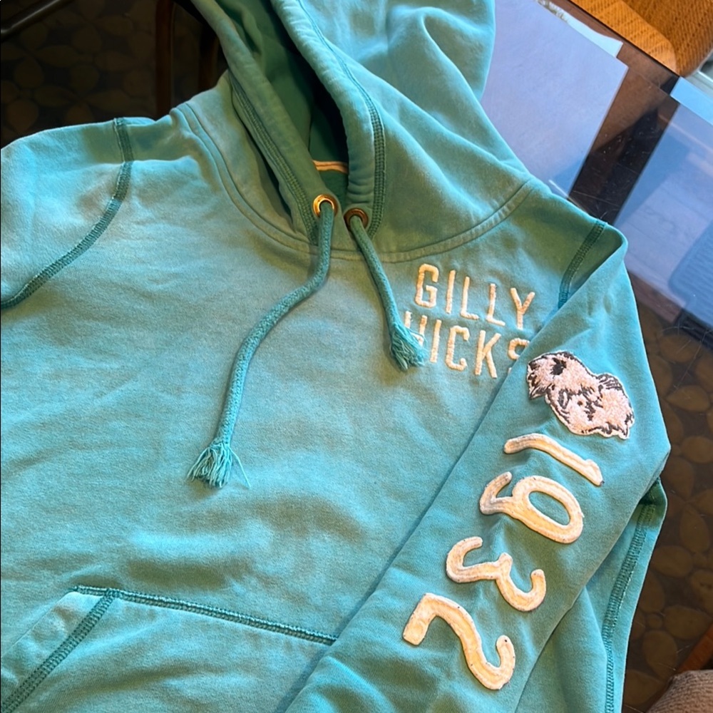 Gilly Hicks Teal Hoodie - Picture 3 of 6